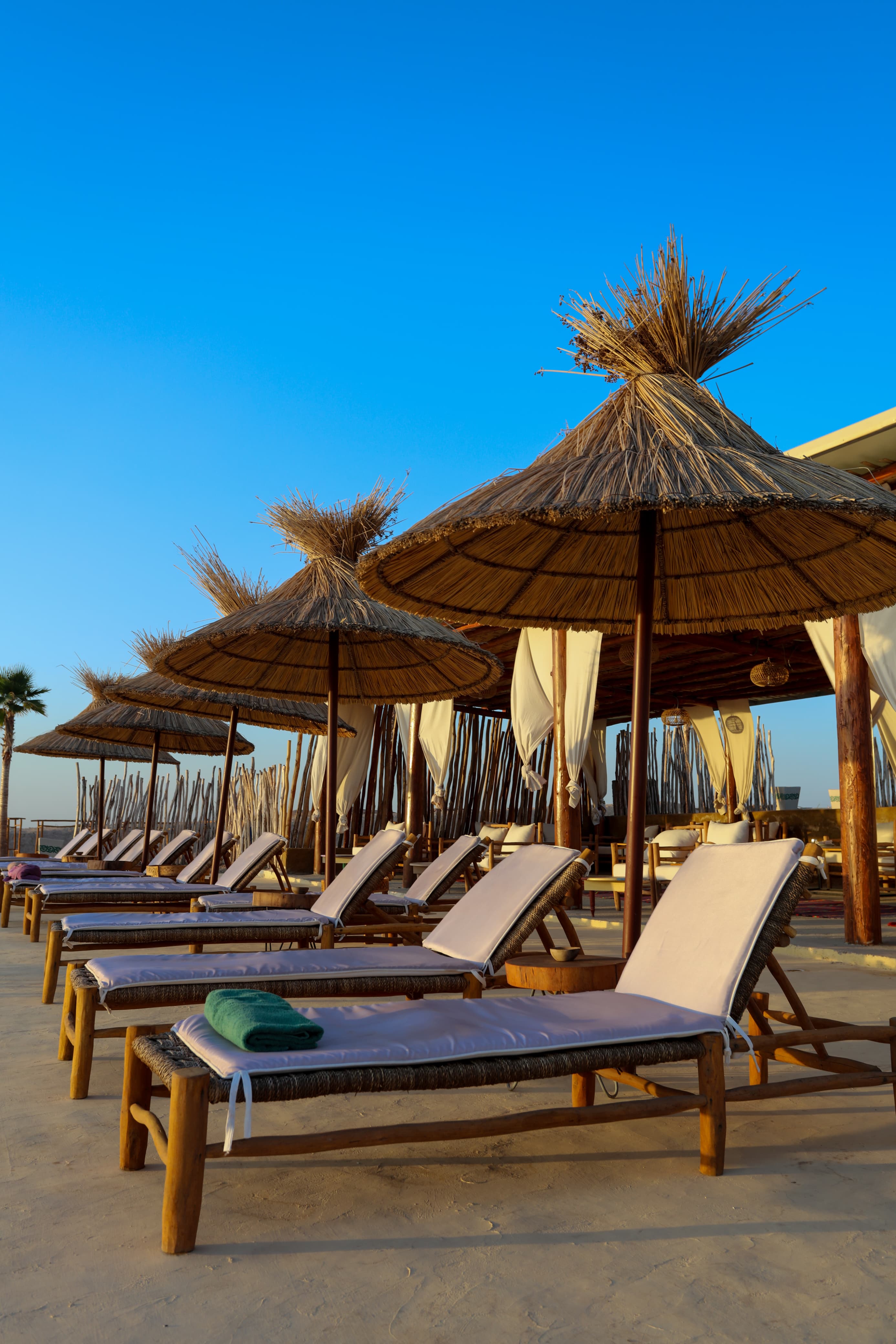 WhatsApp Image 2025-03-21 à 22.41.11_68770805.jpg